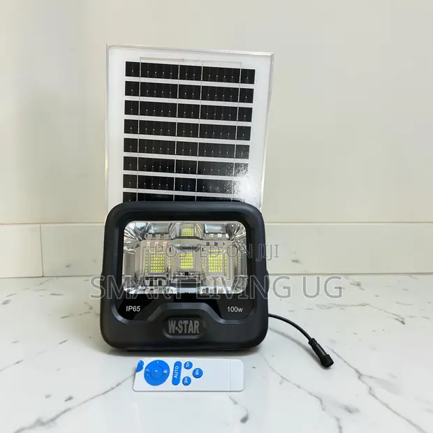W-Star 100W Bright Solar Floodlight - 1
