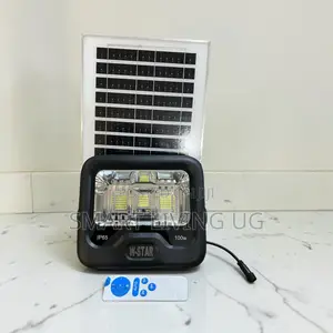 W-Star 100W Bright Solar Floodlight