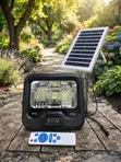 Heavy-Duty W-Star 100W Solar Floodlight - 2