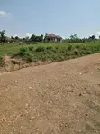 Residential Plots for Sale - Gayaza Kiwenda - 5