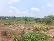 Plots for Sale - Namugongo Bukerere - 3