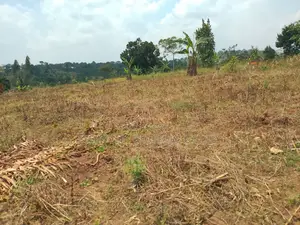 10 Plots for Sale - Kilolo, Kabale