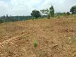 10 Plots for Sale - Kilolo, Kabale - 1
