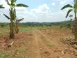10 Plots for Sale - Kilolo, Kabale - 2
