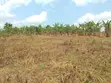 10 Plots for Sale - Kilolo, Kabale - 3