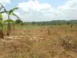 10 Plots for Sale - Kilolo, Kabale - 4