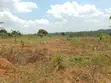 10 Plots for Sale - Kilolo, Kabale - 5