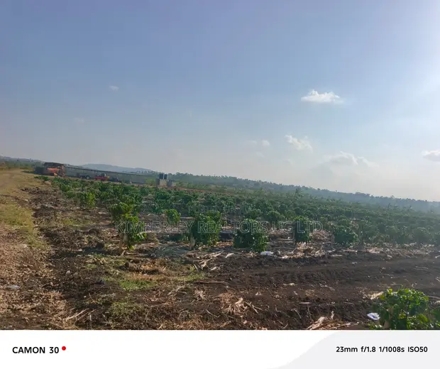 Coffee Plantation for Sale - Masaka-Mbarara Road - 1