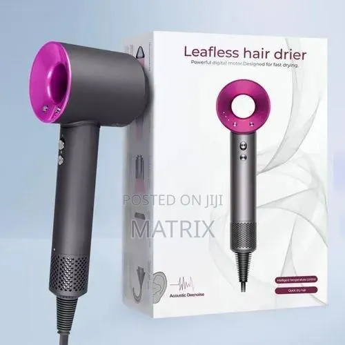 Leafless Electric Hair Dryer - 1