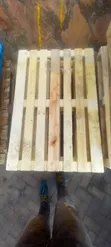 Clean Timber Pallets for Sale - 2