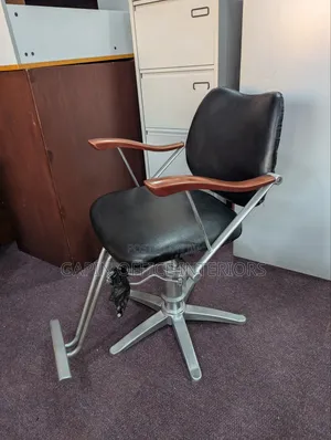 Adjustable Salon/Barber Chair