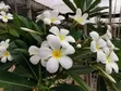Unique Gardening & Landscaping Services - 1