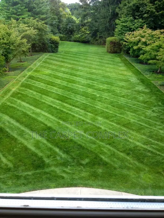 Artificial Turf - Per Square Meter - 1