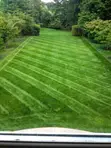 Artificial Turf - Per Square Meter - 1