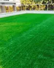 Artificial Turf - Per Square Meter - 2