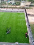 Compound Grass Turf Per Square Meter - 2