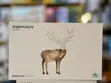 Huion Inspiroy H640P Drawing Tablet with Stylus - 1