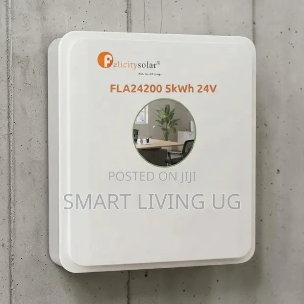 Felicity Solar 24V 5kWh LiFePO4 Battery (FLA24200 Series) - 1