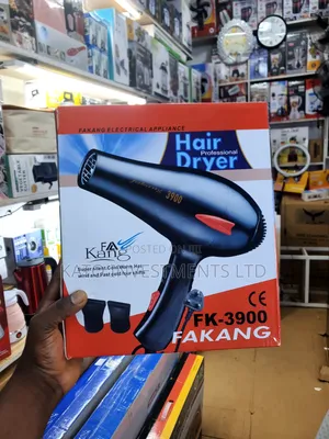 Fakang Professional Hair Dryer FK-3900