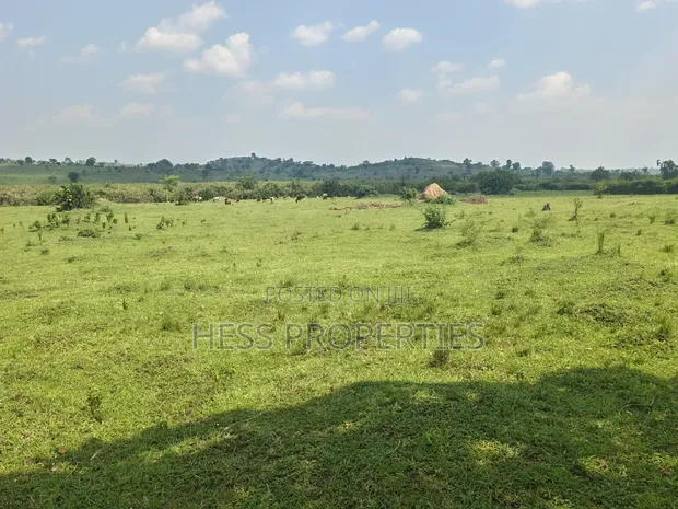 14 Acres Farmland for Sale in Kyenjojo - 1