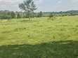 14 Acres Farmland for Sale in Kyenjojo - 2