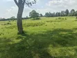 14 Acres Farmland for Sale in Kyenjojo - 4