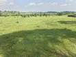 14 Acres Farmland for Sale in Kyenjojo - 5