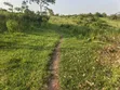 50 Acres Titled Farmland for Sale in Kyenjojo District - 3