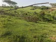 50 Acres Titled Farmland for Sale in Kyenjojo District - 4