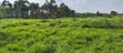 2 Bedroom House for Sale in Namayumba - 5