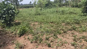 1 Acre Mailo Land for Sale in Bukerere Kasayi