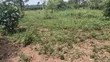 1 Acre Mailo Land for Sale in Bukerere Kasayi - 1
