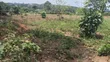 1 Acre Mailo Land for Sale in Bukerere Kasayi - 3