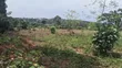 1 Acre Mailo Land for Sale in Bukerere Kasayi - 4