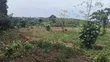 1 Acre Mailo Land for Sale in Bukerere Kasayi - 5