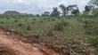 1 Acre Land for Sale in Namulaba, Namugongo - 2