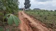 1 Acre Land for Sale in Namulaba, Namugongo - 5