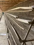 Used Hen Cages (Galvanized Steel) - 2