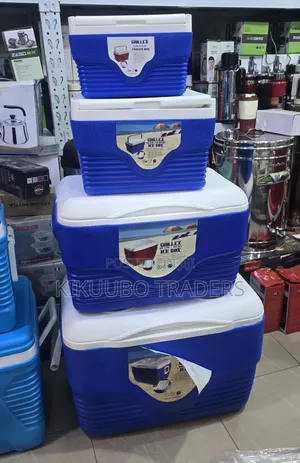 4pcs Insulated Ice Cooler Chiller Box Set