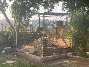Professional Landscaping & Gardening Services