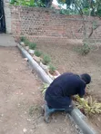 Professional Landscaping & Gardening Services - 5