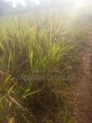 Acre of Land for Sale - 28km from Kampala