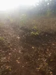 Acre of Land for Sale - 28km from Kampala - 3