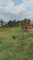 Commercial Land for Sale - Matugga-Kasangati Road - 5