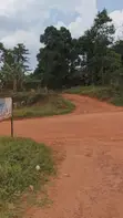 Prime Land for Sale - Makerere - 2