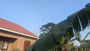 2 Bedroom House for Sale in Matugga Kavule