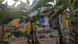 2 Bedroom House with Shell Boys Quarters for Sale in Busiikili - 5