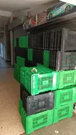 Plastic Crates - Brand New - 2