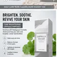 Skin1004 Madagascar Centella Tone Brightening Capsule Ampoule - 2