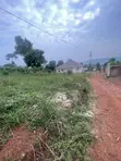 50x100ft Hilltop Plots for Sale in Kisoga, Mukono - 3